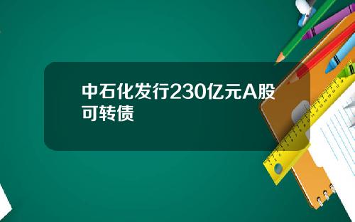 中石化发行230亿元A股可转债