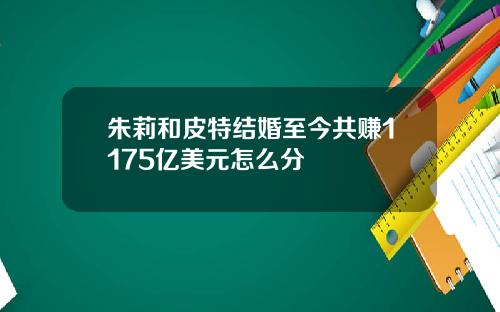 朱莉和皮特结婚至今共赚1175亿美元怎么分