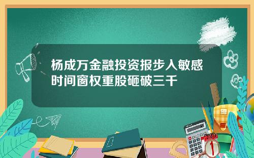 杨成万金融投资报步入敏感时间窗权重股砸破三千