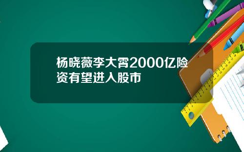 杨晓薇李大霄2000亿险资有望进入股市