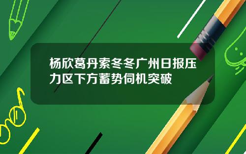 杨欣葛丹索冬冬广州日报压力区下方蓄势伺机突破