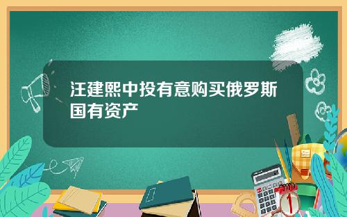 汪建熙中投有意购买俄罗斯国有资产