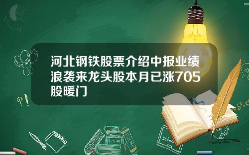 河北钢铁股票介绍中报业绩浪袭来龙头股本月已涨705股暖门