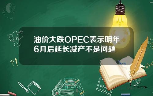 油价大跌OPEC表示明年6月后延长减产不是问题