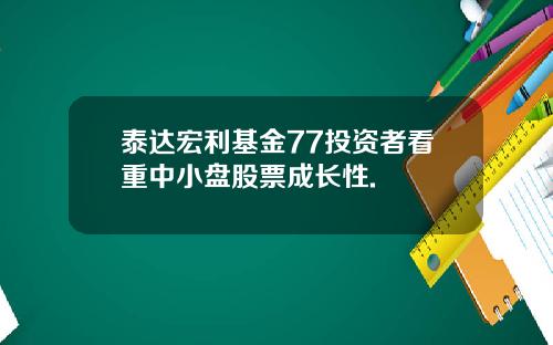 泰达宏利基金77投资者看重中小盘股票成长性.