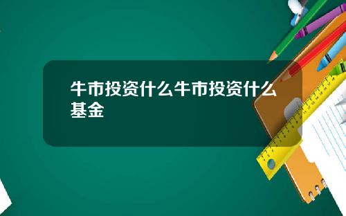 牛市投资什么牛市投资什么基金