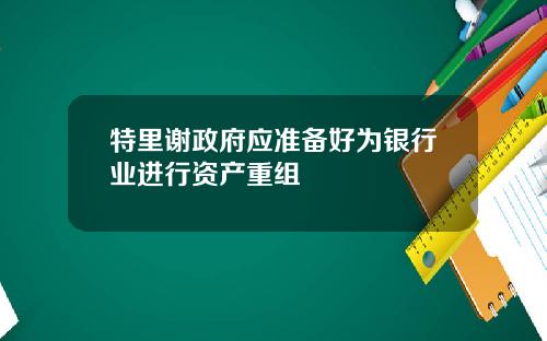 特里谢政府应准备好为银行业进行资产重组