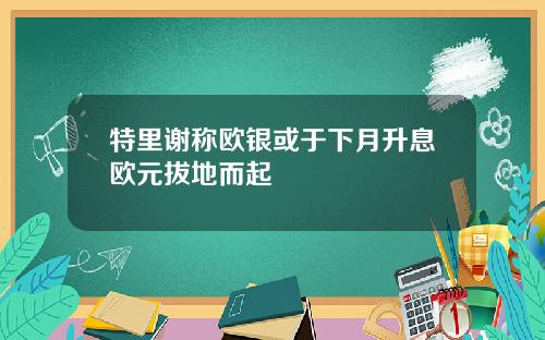 特里谢称欧银或于下月升息欧元拔地而起