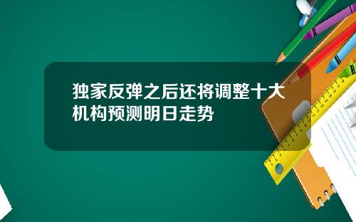 独家反弹之后还将调整十大机构预测明日走势