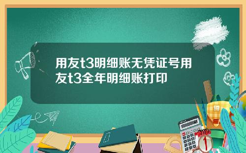 用友t3明细账无凭证号用友t3全年明细账打印