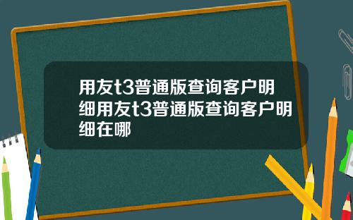 用友t3普通版查询客户明细用友t3普通版查询客户明细在哪