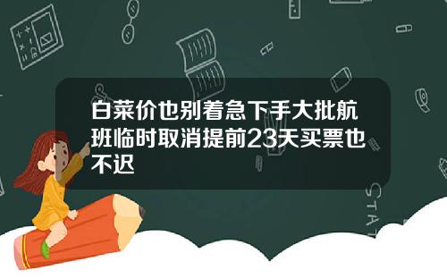 白菜价也别着急下手大批航班临时取消提前23天买票也不迟