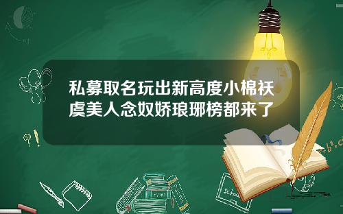 私募取名玩出新高度小棉袄虞美人念奴娇琅琊榜都来了