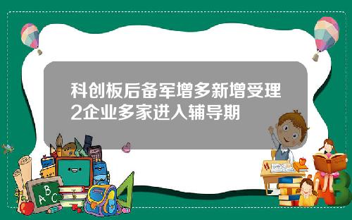 科创板后备军增多新增受理2企业多家进入辅导期