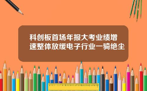 科创板首场年报大考业绩增速整体放缓电子行业一骑绝尘