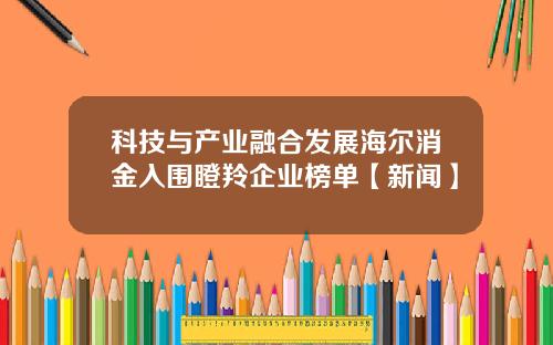 科技与产业融合发展海尔消金入围瞪羚企业榜单【新闻】