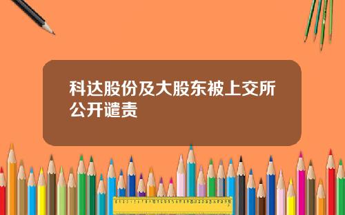 科达股份及大股东被上交所公开谴责