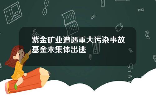 紫金矿业遭遇重大污染事故基金未集体出逃