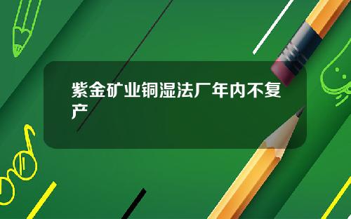 紫金矿业铜湿法厂年内不复产