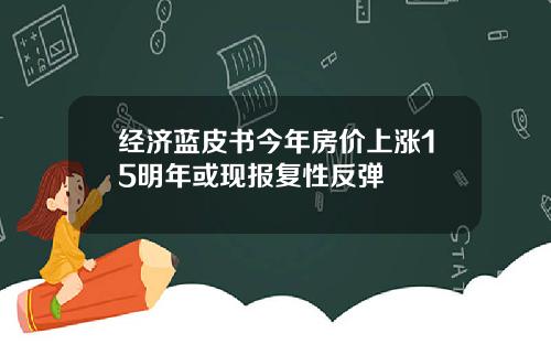 经济蓝皮书今年房价上涨15明年或现报复性反弹