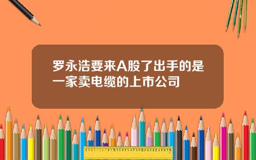 罗永浩要来A股了出手的是一家卖电缆的上市公司