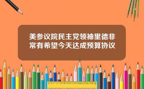 美参议院民主党领袖里德非常有希望今天达成预算协议