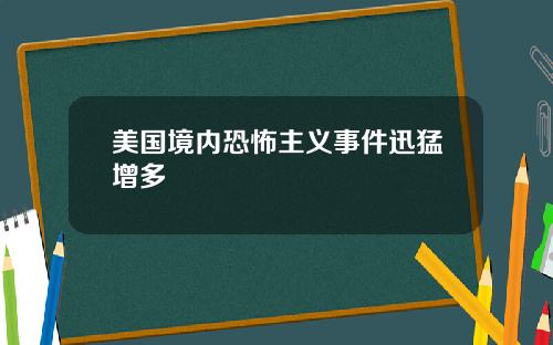 美国境内恐怖主义事件迅猛增多