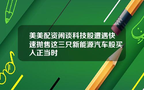 美美配资闲谈科技股遭遇快速抛售这三只新能源汽车股买入正当时