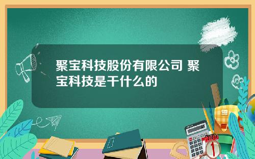 聚宝科技股份有限公司 聚宝科技是干什么的