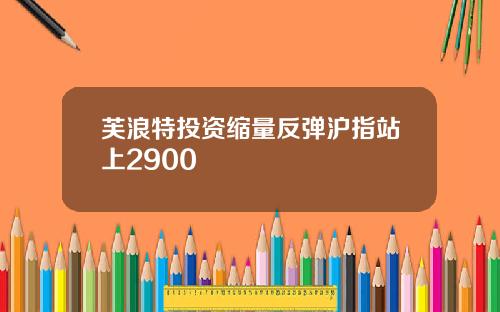 芙浪特投资缩量反弹沪指站上2900