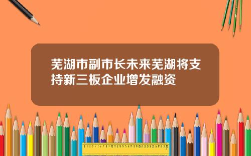 芜湖市副市长未来芜湖将支持新三板企业增发融资