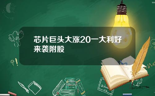 芯片巨头大涨20一大利好来袭附股