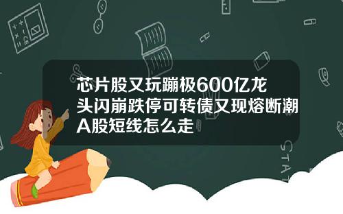 芯片股又玩蹦极600亿龙头闪崩跌停可转债又现熔断潮A股短线怎么走