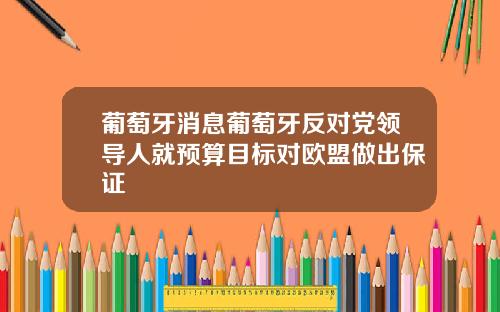 葡萄牙消息葡萄牙反对党领导人就预算目标对欧盟做出保证