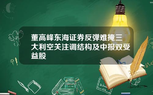 董高峰东海证券反弹难掩三大利空关注调结构及中报双受益股