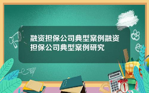 融资担保公司典型案例融资担保公司典型案例研究