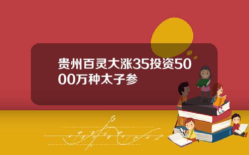 贵州百灵大涨35投资5000万种太子参