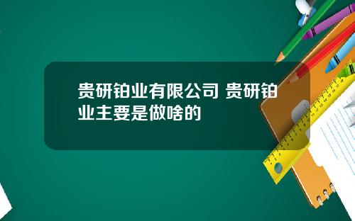 贵研铂业有限公司 贵研铂业主要是做啥的