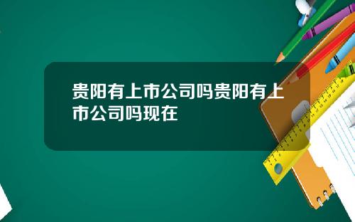 贵阳有上市公司吗贵阳有上市公司吗现在