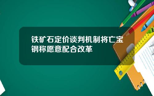 铁矿石定价谈判机制将亡宝钢称愿意配合改革