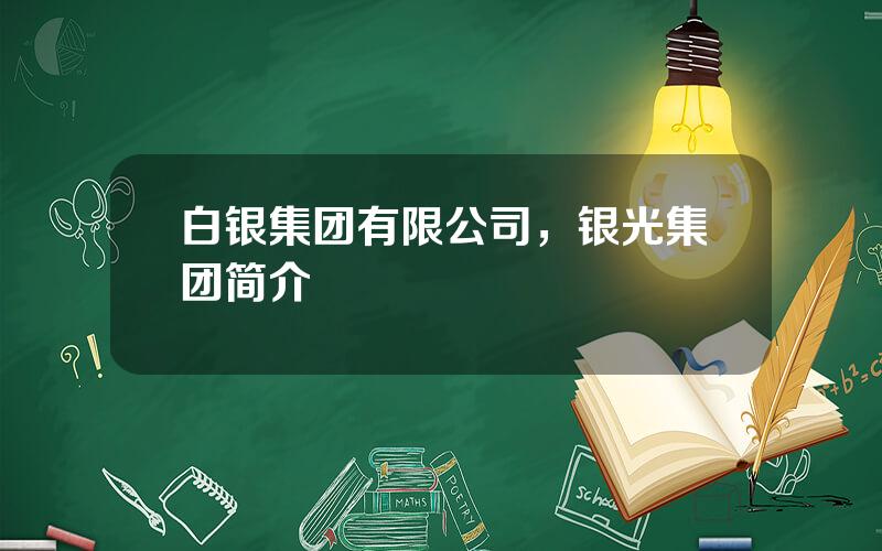 白银集团有限公司，银光集团简介