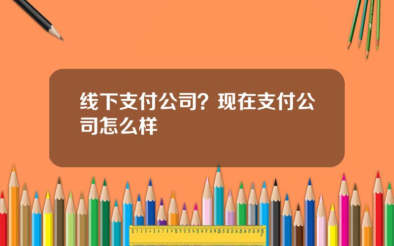 线下支付公司？现在支付公司怎么样