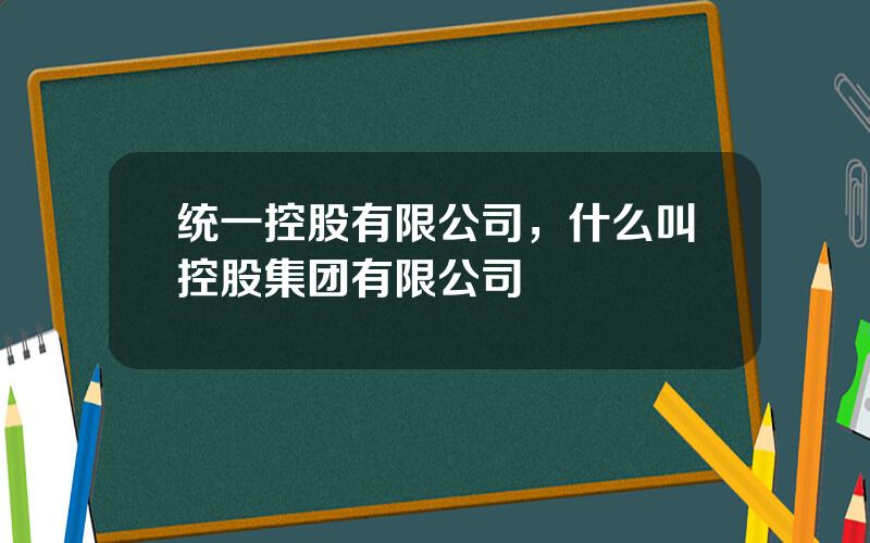 统一控股有限公司，什么叫控股集团有限公司