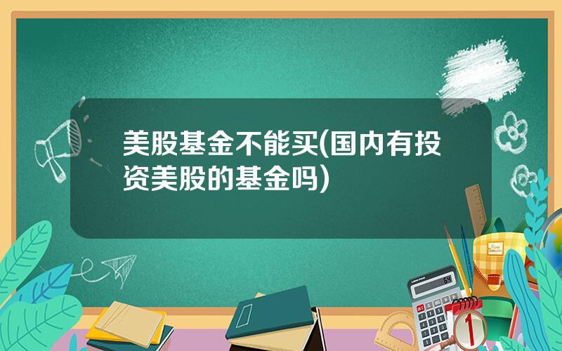 美股基金不能买(国内有投资美股的基金吗)