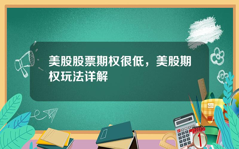 美股股票期权很低，美股期权玩法详解