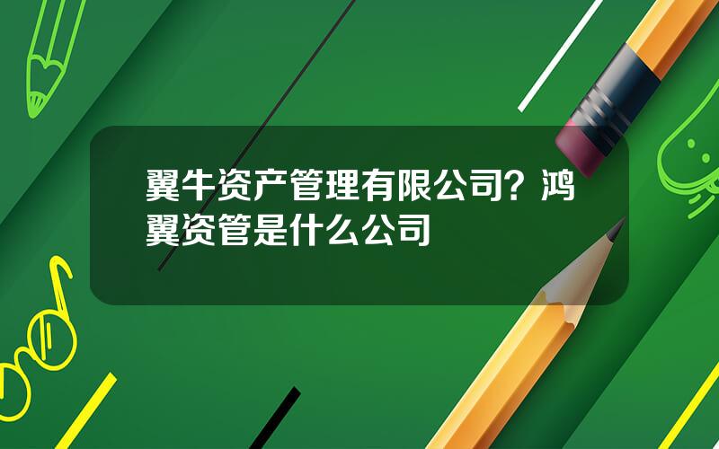 翼牛资产管理有限公司？鸿翼资管是什么公司