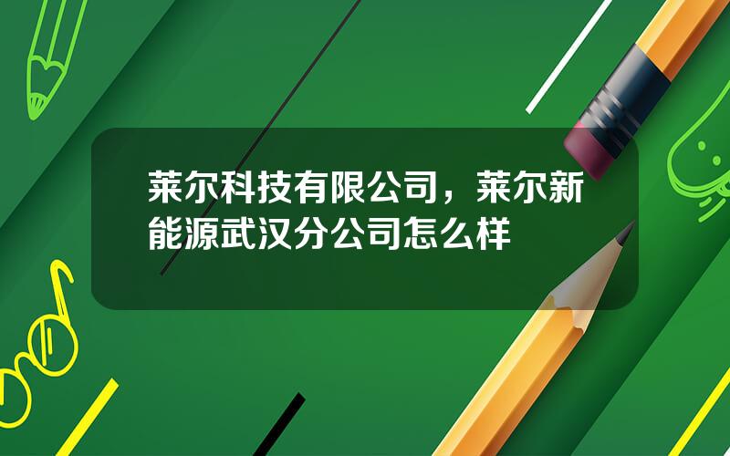 莱尔科技有限公司，莱尔新能源武汉分公司怎么样