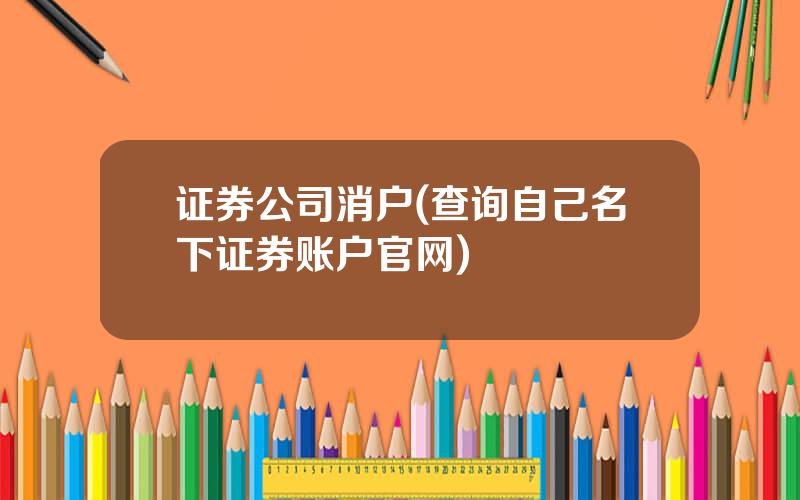 证券公司消户(查询自己名下证券账户官网)