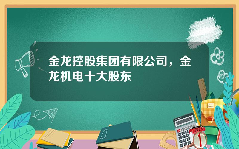 金龙控股集团有限公司，金龙机电十大股东