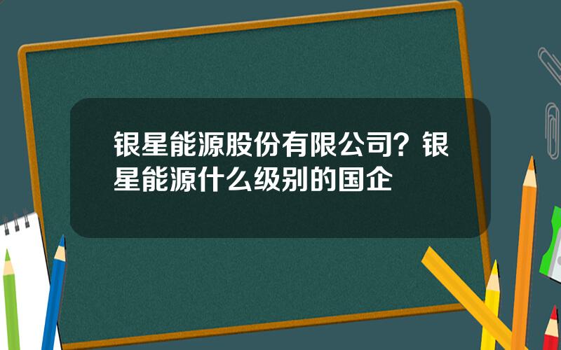 银星能源股份有限公司？银星能源什么级别的国企